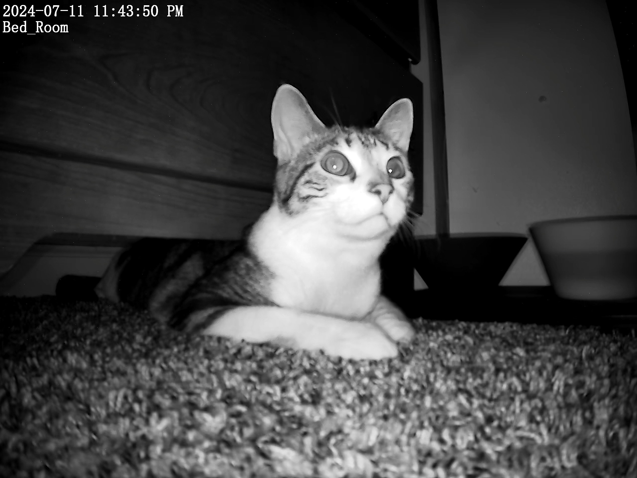 marble first day