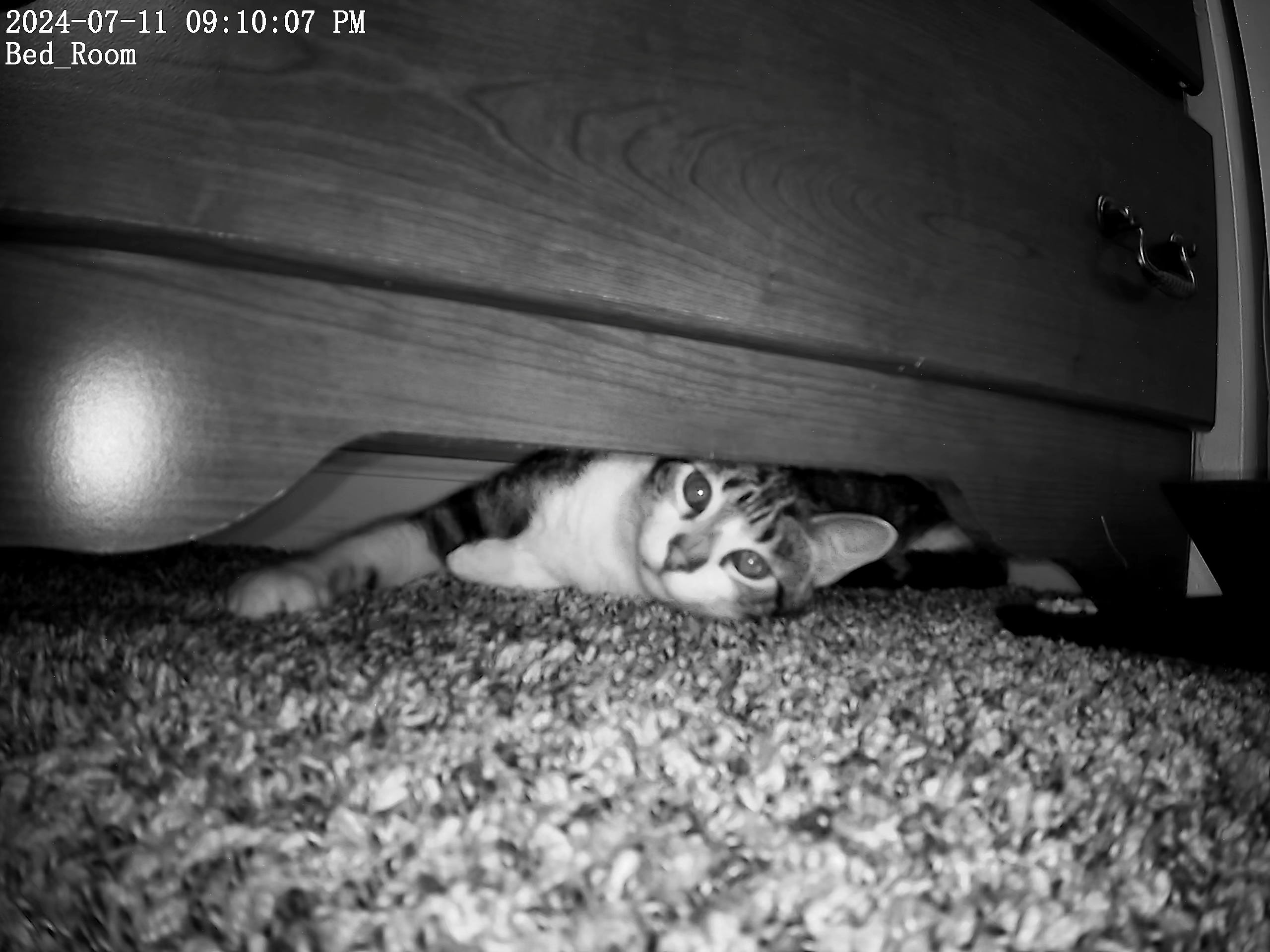 marble first day