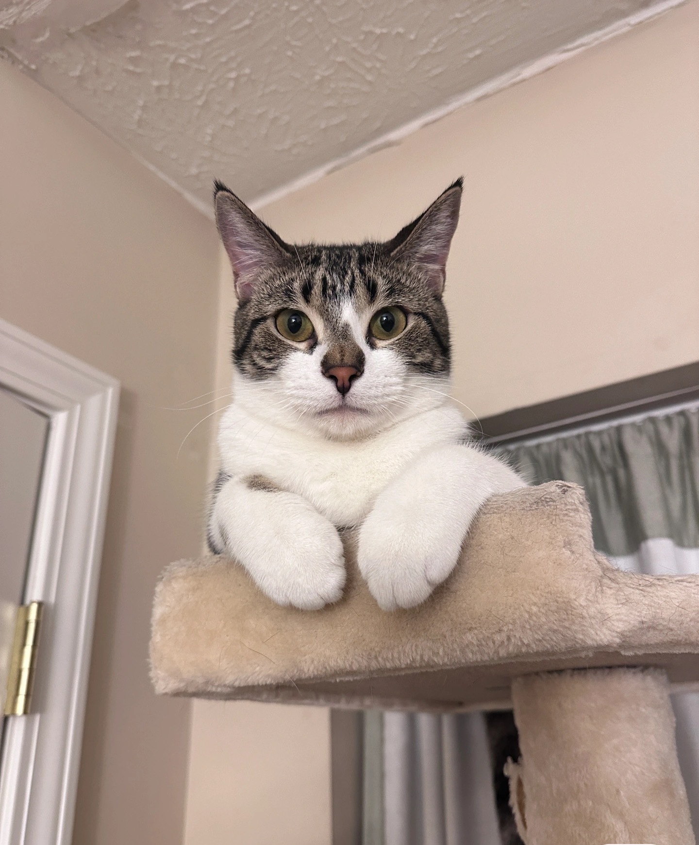 marble first apartment